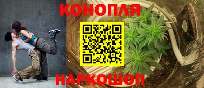 сатива Ливны