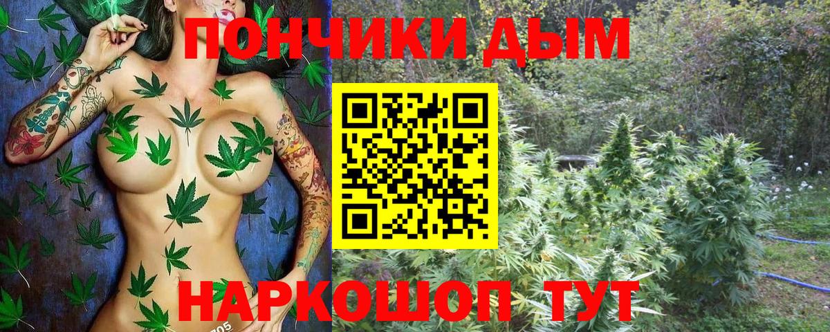 МАРИХУАНА план  Вход с VPN  МАРИХУАНА White Widow  Конопля планчик  Марихуана Bruce Banner  Дивногорск 